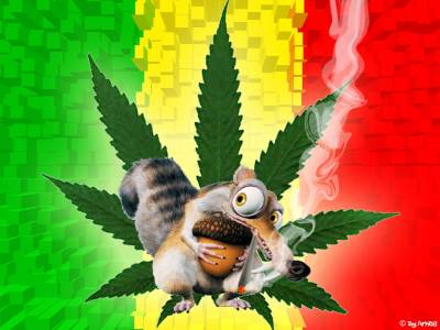 cannabis