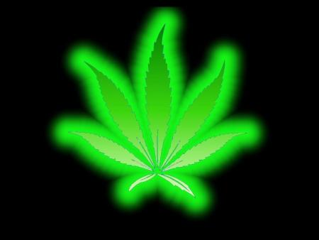 cannabis
