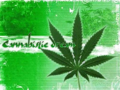 cannabis