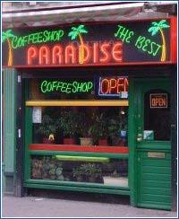coffee shop the best paradise