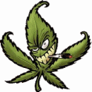 cannabis