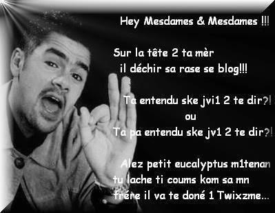 comment trouvez vous mon blog